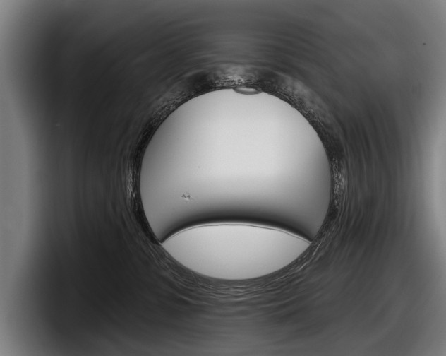 X0000098150331200804171202