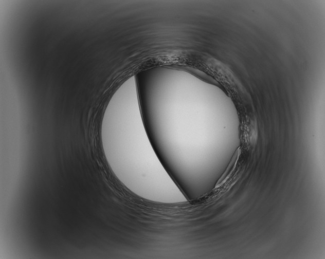 X0000098150332200804171202