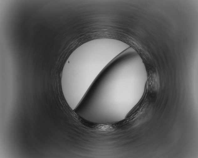 X0000098150333200804171202