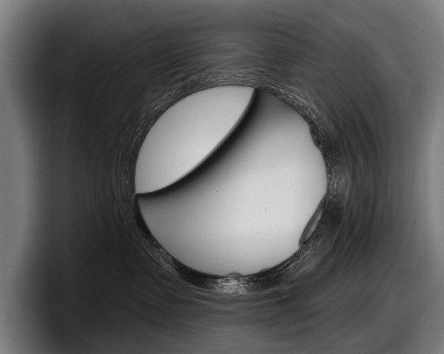 X0000098150335200804171202