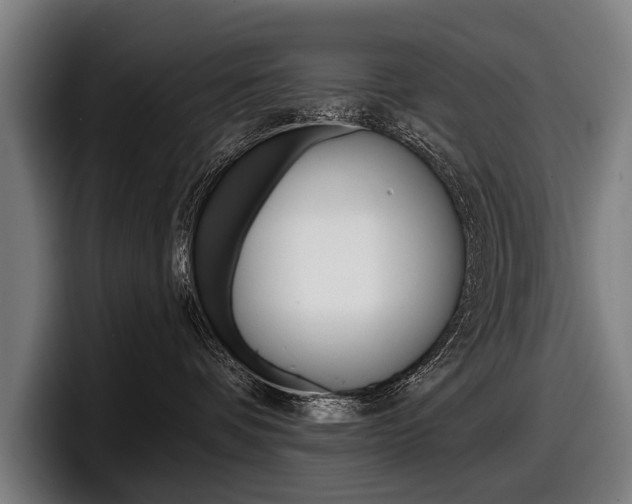 X0000098150336200804171202