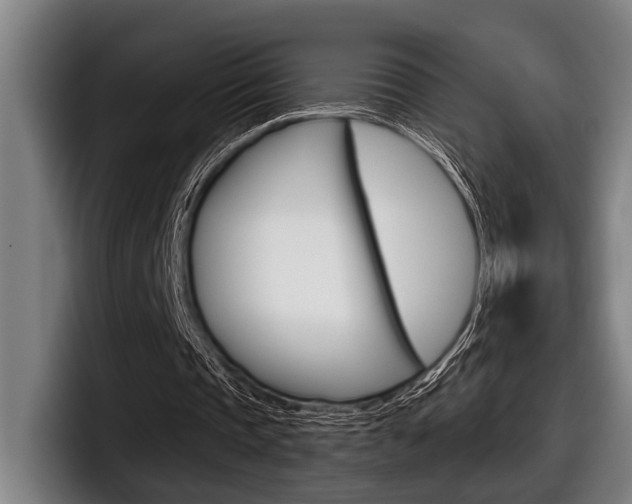 X0000098150337200804171201