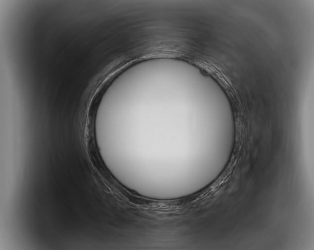X0000098150338200804171201