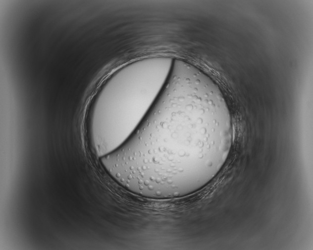 X0000098150339200804171201
