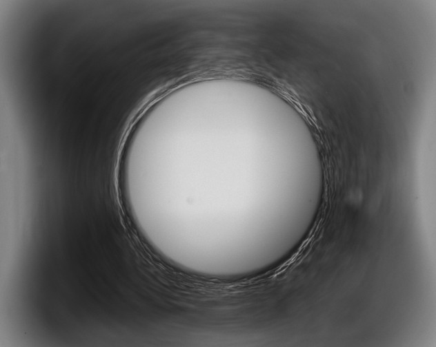 X0000098150340200804171201
