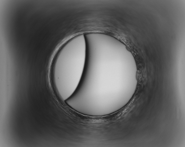 X0000098150342200804171201