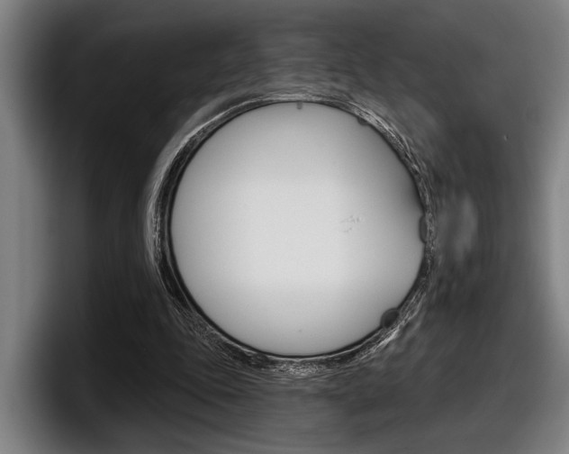X0000098150343200804171201