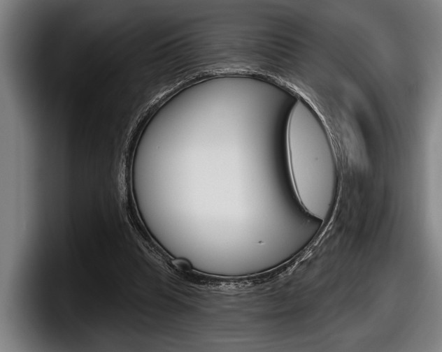 X0000098150345200804171201