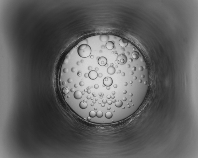 X0000098150346200804171201