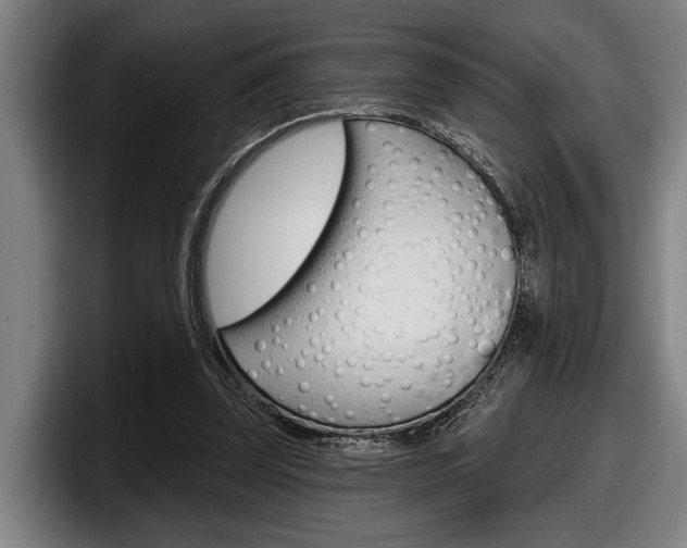 X0000098150347200804171201