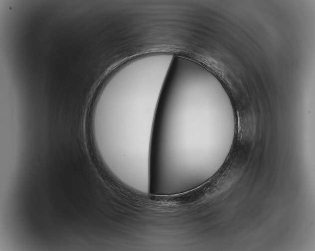 X0000098150348200804171201