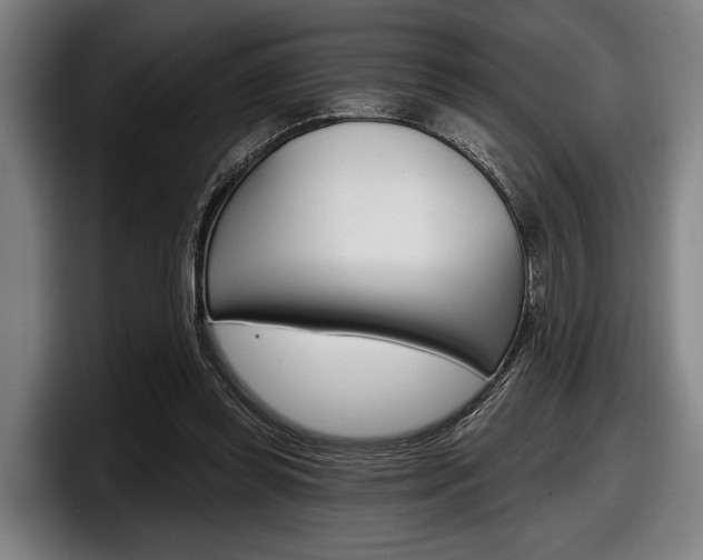 X0000098150349200804171201