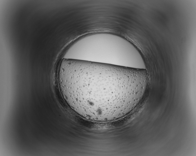 X0000098150351200804171201