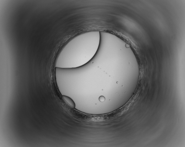 X0000098150353200804171201