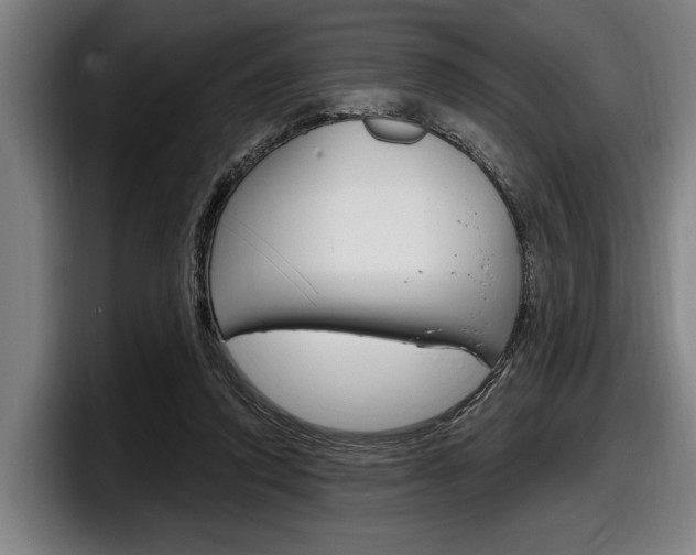 X0000098150354200804171201