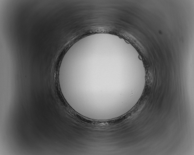 X0000098150355200804171201