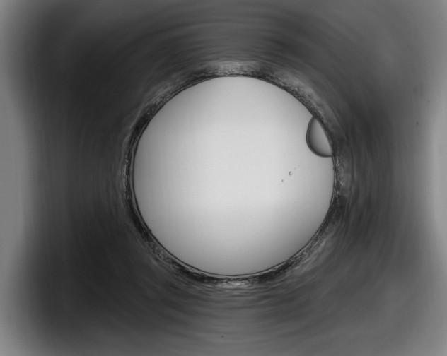 X0000098150357200804171201