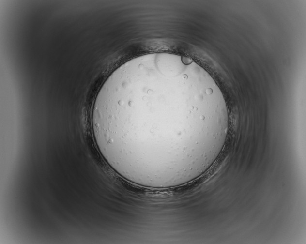 X0000098150359200804171201