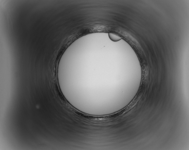 X0000098150361200804171201