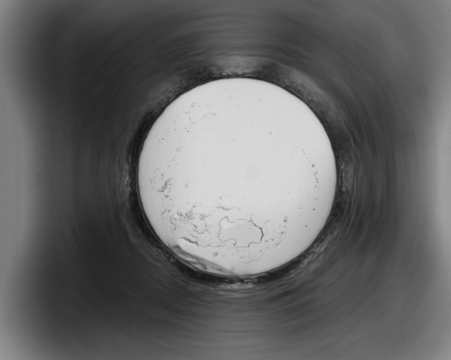 X0000098150362200804171201