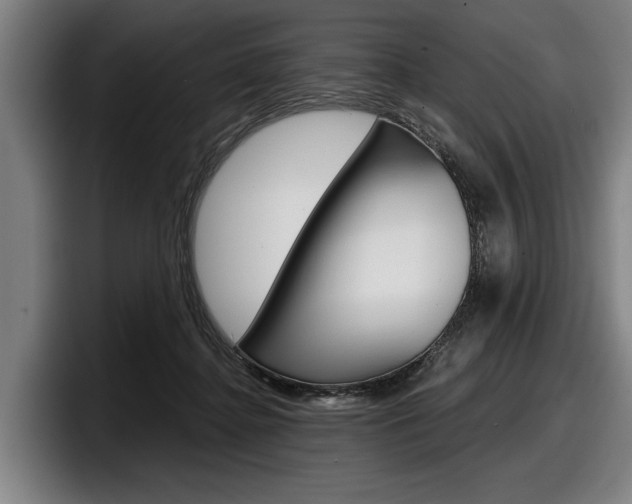 X0000098150364200804171201