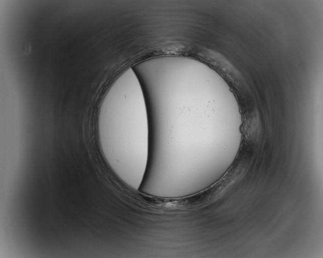 X0000098150365200804171201