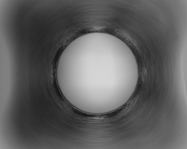 X0000098150366200804171201
