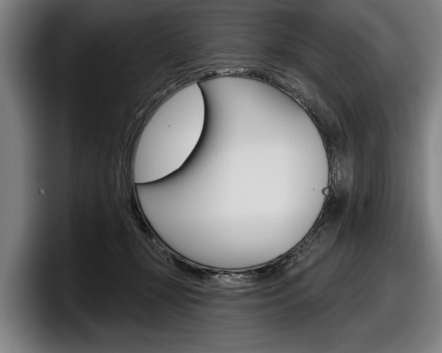 X0000098150367200804171201