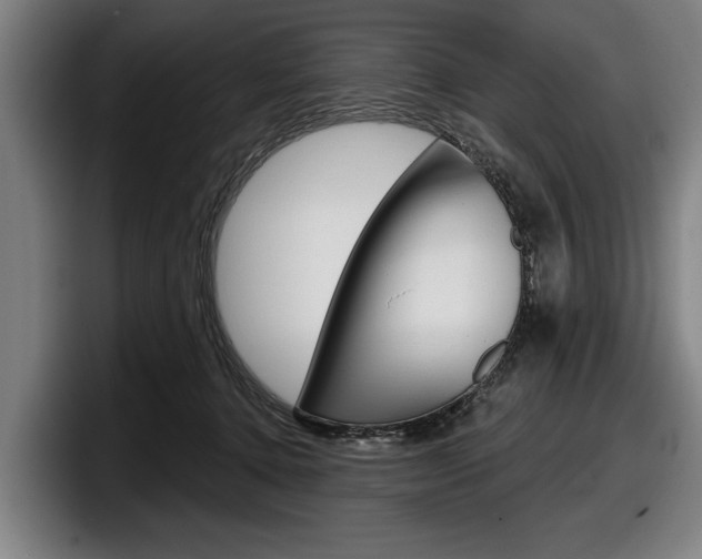 X0000098150368200804171201