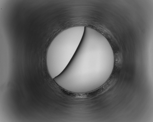 X0000098150369200804171201