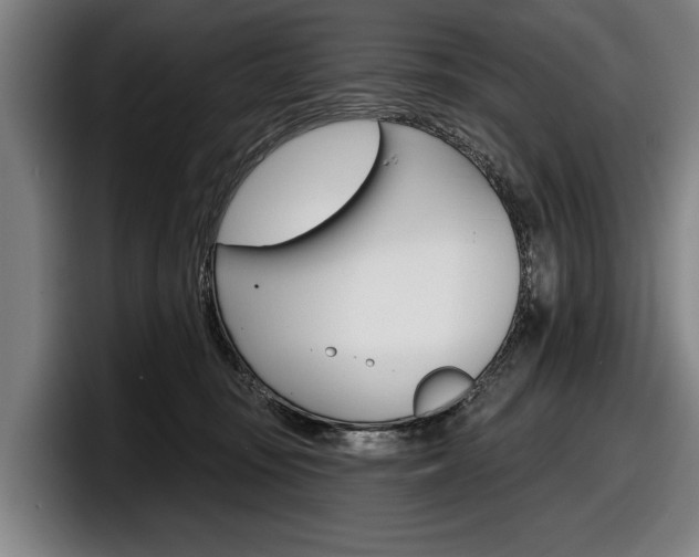 X0000098150371200804171201