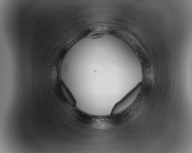 X0000098150372200804171201