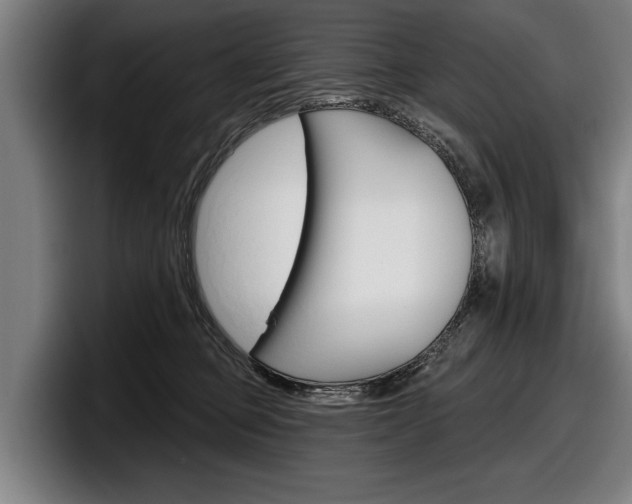 X0000098150373200804171201
