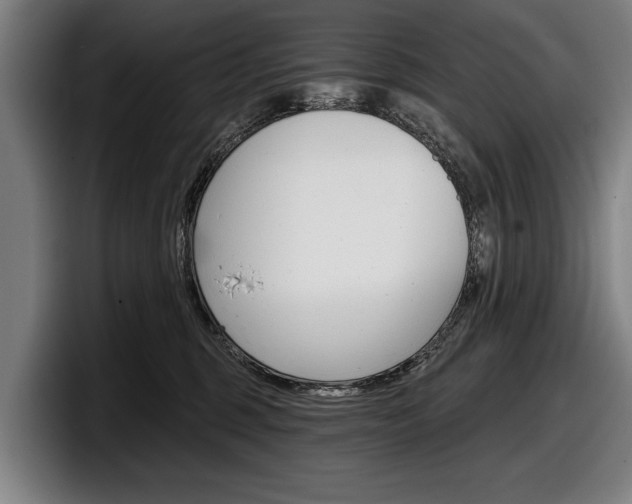 X0000098150375200804171201