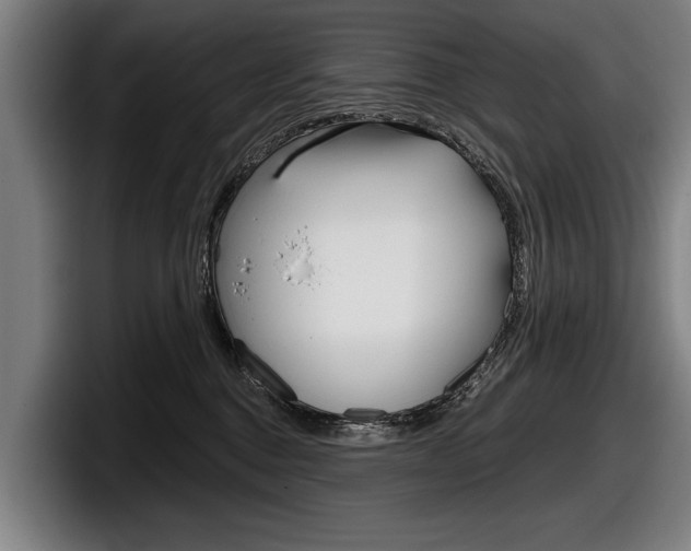X0000098150376200804171201