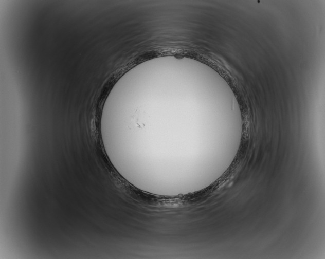 X0000098150377200804171201