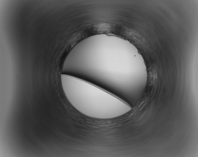 X0000098150379200804171202