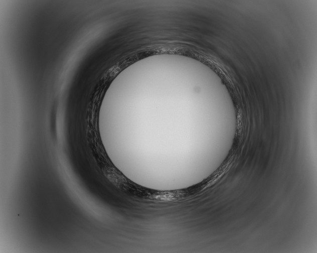 X0000098150381200804171202
