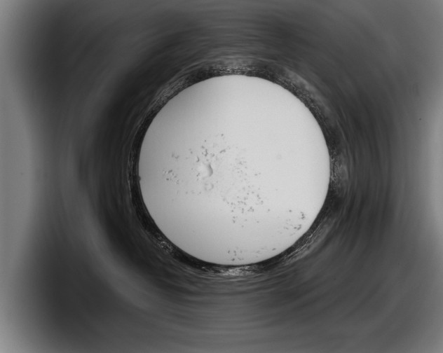 X0000098150382200804171202