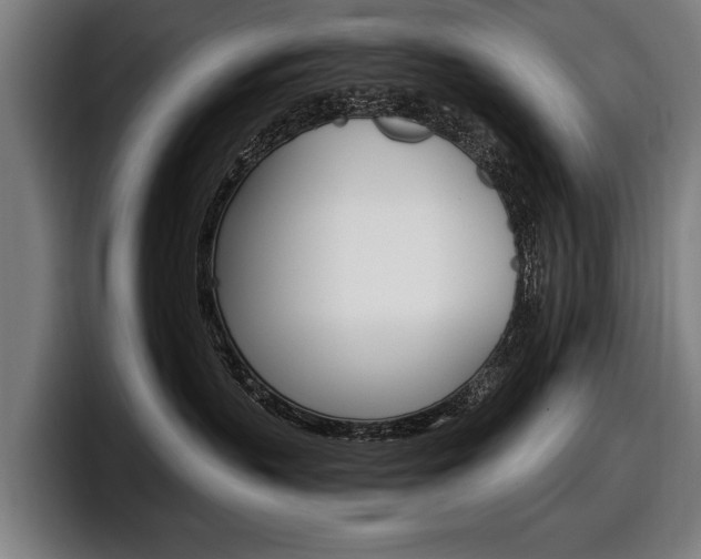 X0000098150383200804171202