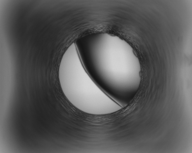 X0000098150384200804171202