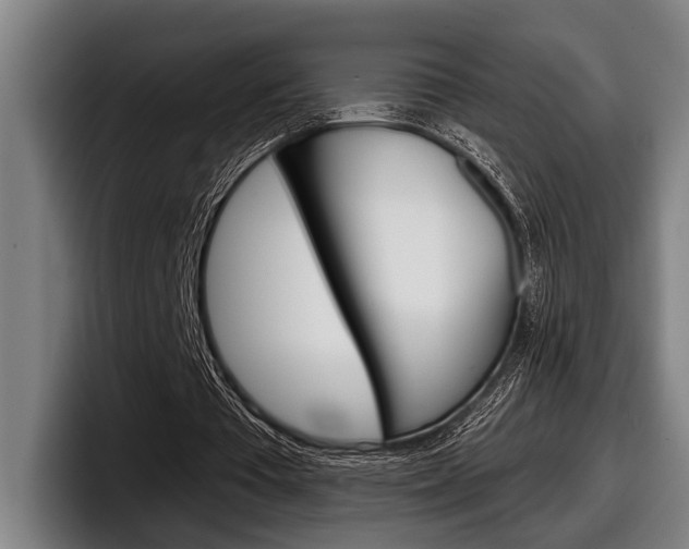 X0000098150385200804171201