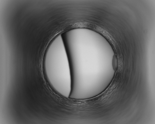 X0000098150386200804171201