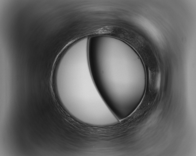 X0000098150387200804171201
