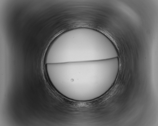 X0000098150390200804171201