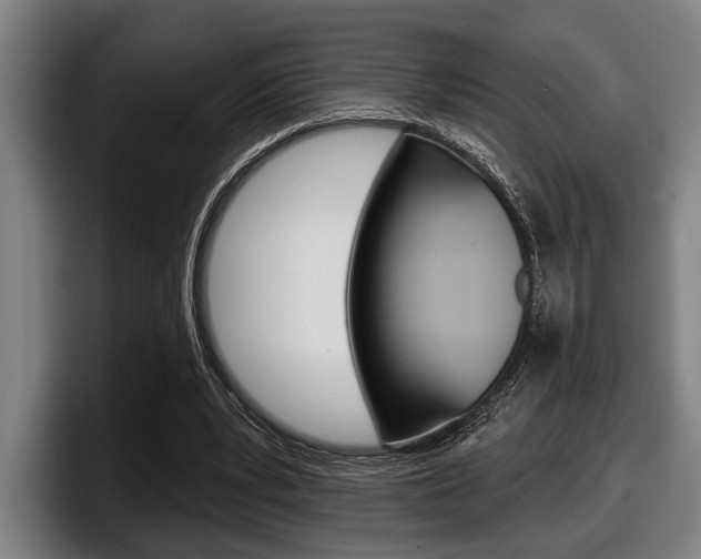 X0000098150391200804171201