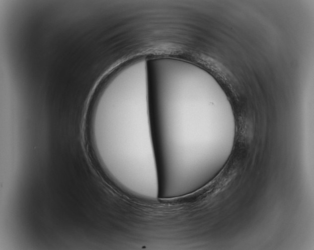 X0000098150392200804171201