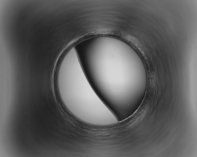 X0000098150395200804171201