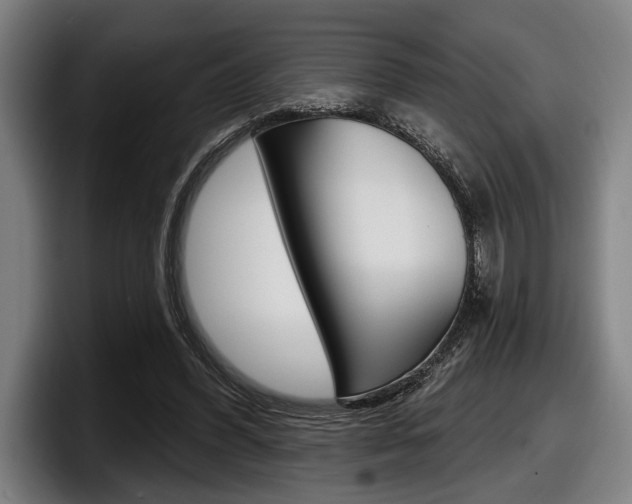 X0000098150396200804171201