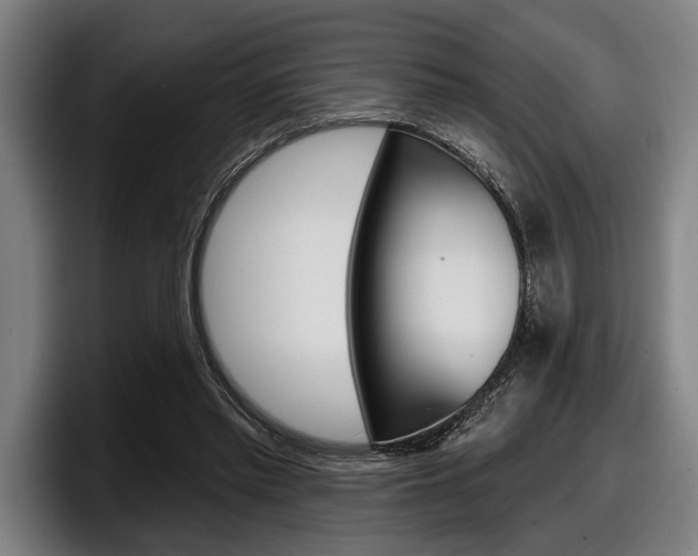 X0000098150397200804171201